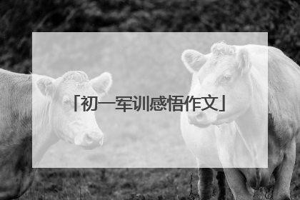 初一军训感悟作文