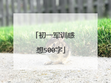 初一军训感想500字
