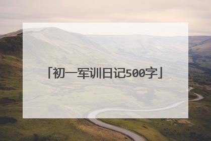 初一军训日记500字