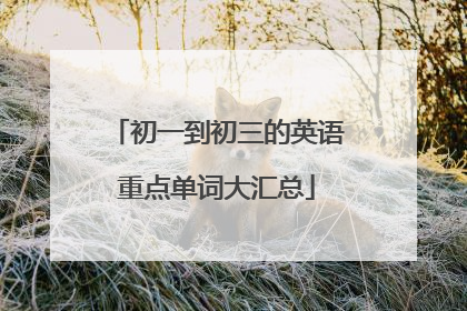 初一到初三的英语重点单词大汇总