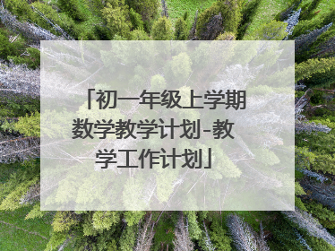 初一年级上学期数学教学计划-教学工作计划
