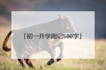 初一开学周记500字