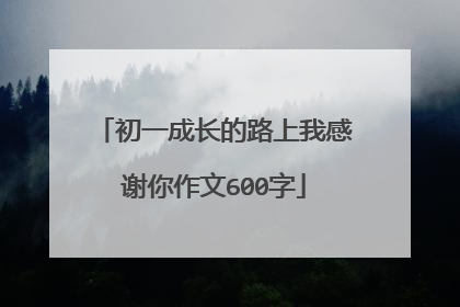 初一成长的路上我感谢你作文600字