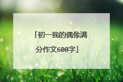 初一我的偶像满分作文600字