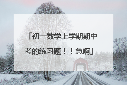 初一数学上学期期中考的练习题！！急啊