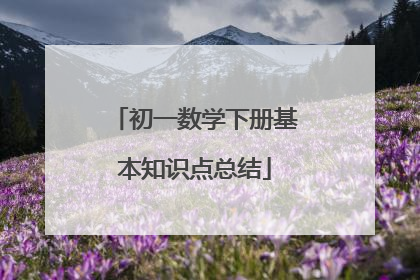 初一数学下册基本知识点总结