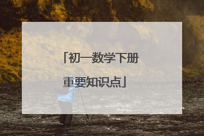 初一数学下册重要知识点
