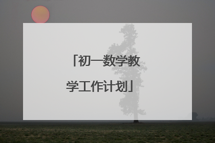 初一数学教学工作计划