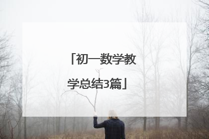 初一数学教学总结3篇
