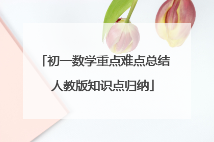 初一数学重点难点总结 人教版知识点归纳
