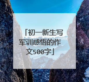 初一新生写军训感悟的作文500字