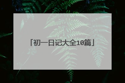 初一日记大全10篇
