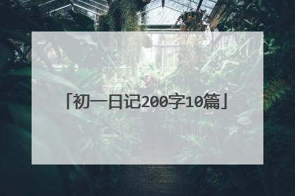 初一日记200字10篇