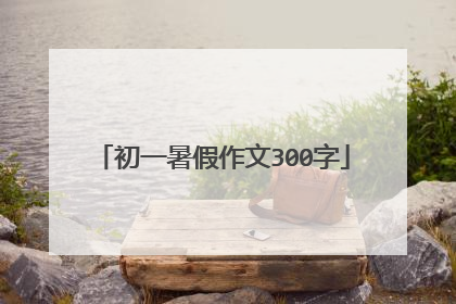 初一暑假作文300字