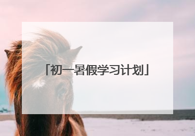 初一暑假学习计划