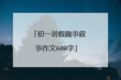 初一暑假趣事叙事作文600字