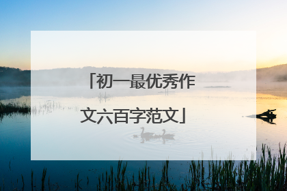 初一最优秀作文六百字范文