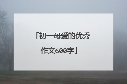 初一母爱的优秀作文600字