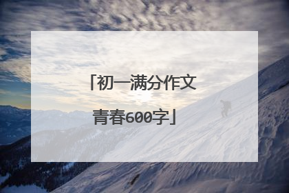 初一满分作文青春600字