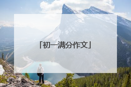 初一满分作文