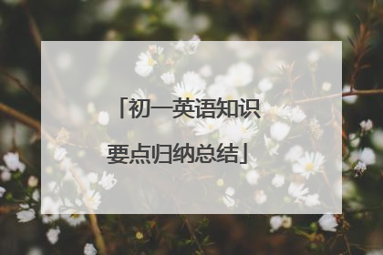 初一英语知识要点归纳总结