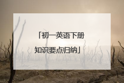 初一英语下册知识要点归纳