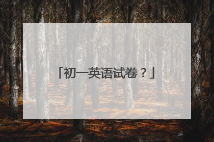 初一英语试卷？