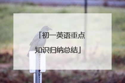 初一英语重点知识归纳总结