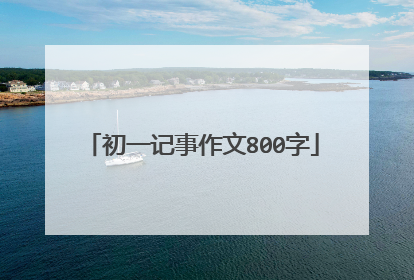 初一记事作文800字
