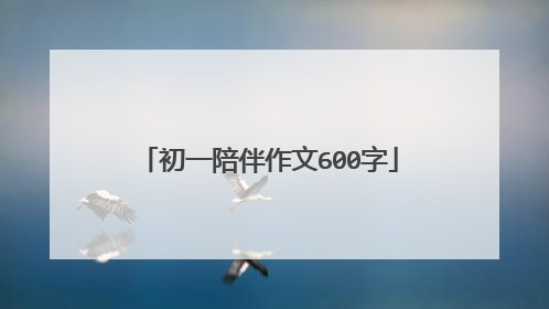 初一陪伴作文600字