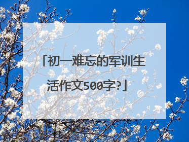初一难忘的军训生活作文500字?