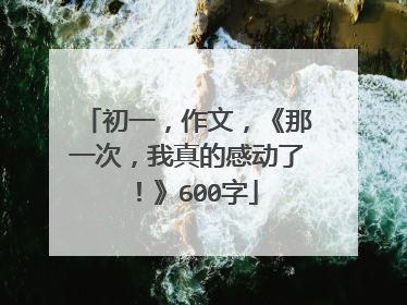 初一,作文,《那一次,我真的感动了!》600字