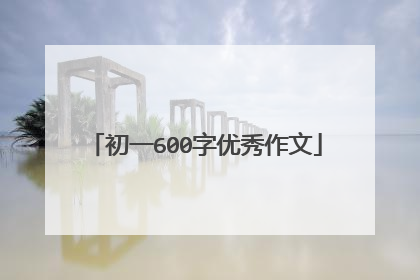 初一600字优秀作文