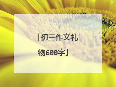 初三作文礼物600字