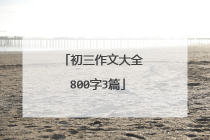 初三作文大全800字3篇