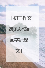 初三作文遇见友情800字记叙文