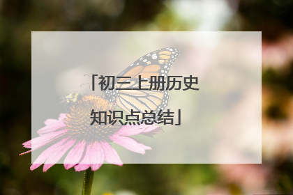 初三上册历史知识点总结