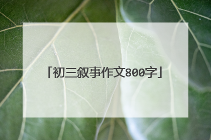 初三叙事作文800字