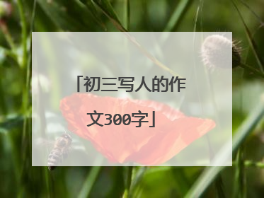 初三写人的作文300字