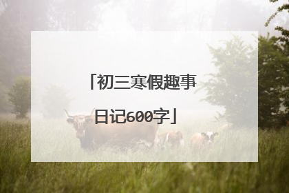初三寒假趣事日记600字
