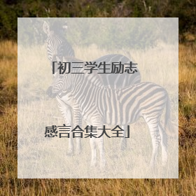 初三学生励志感言合集大全