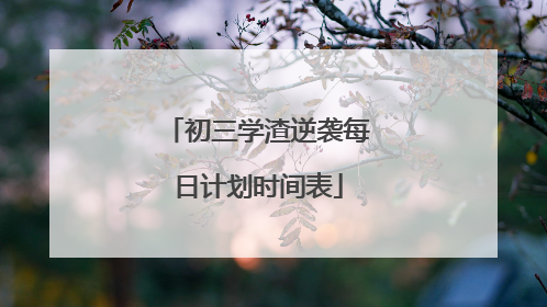 初三学渣逆袭每日计划时间表