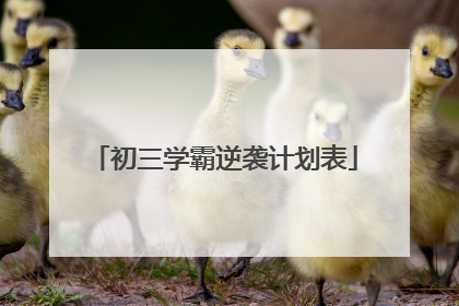 初三学霸逆袭计划表
