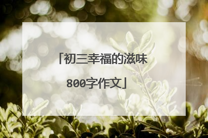 初三幸福的滋味800字作文