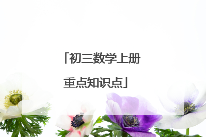 初三数学上册重点知识点