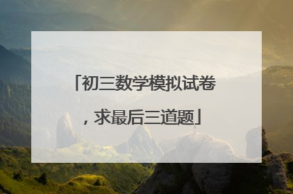 初三数学模拟试卷,求最后三道题