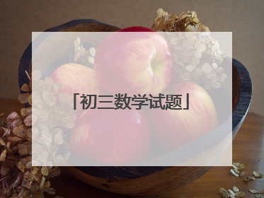 初三数学试题