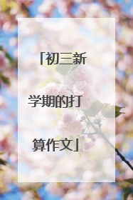 初三新学期的打算作文