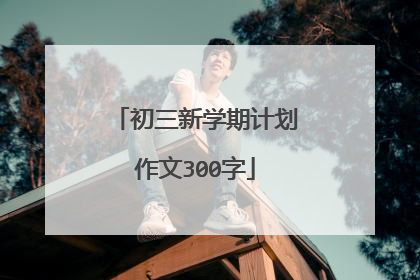初三新学期计划作文300字