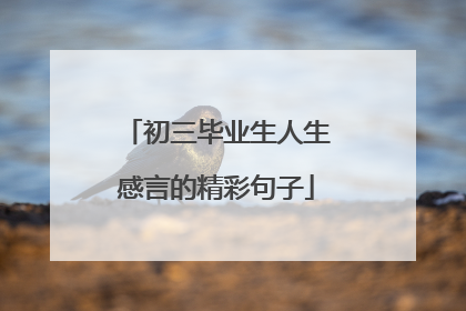 初三毕业生人生感言的精彩句子